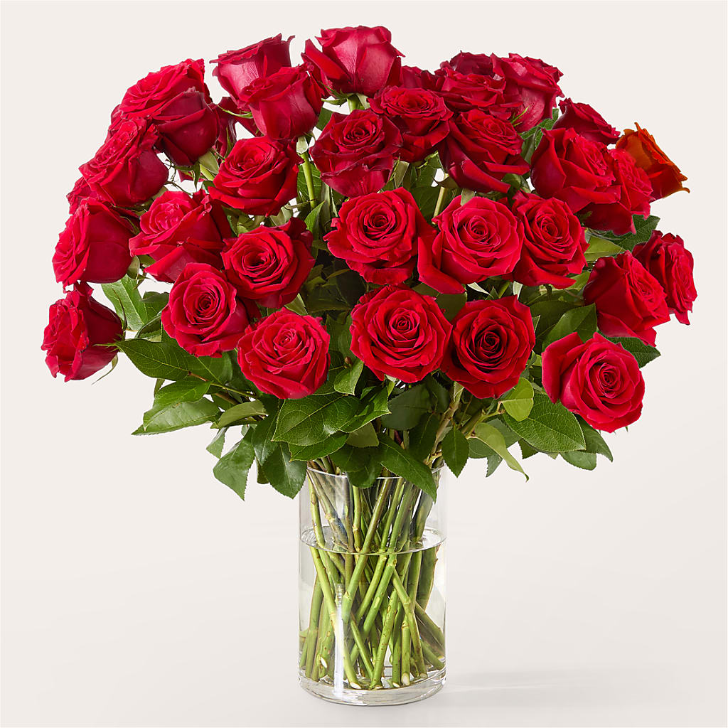 The One Red Rose Bouquet – TIFFANEY'S FLOWERS & GIFTS, Junction City KY