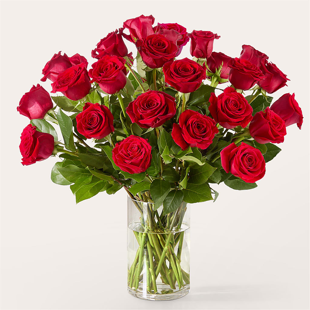 The One Red Rose Bouquet – TIFFANEY'S FLOWERS & GIFTS, Junction City KY