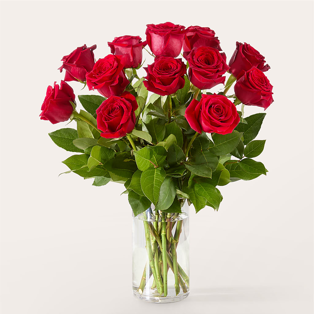 The One Red Rose Bouquet – TIFFANEY'S FLOWERS & GIFTS, Junction City KY