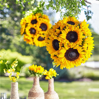 Sublime Garden Hanging Arrangement – TIFFANEY'S FLOWERS & GIFTS, Junction City KY